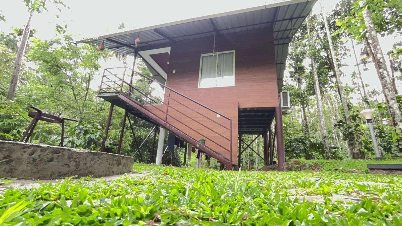 Cave Valley Wayanad Ambalavayal Zewnętrze zdjęcie